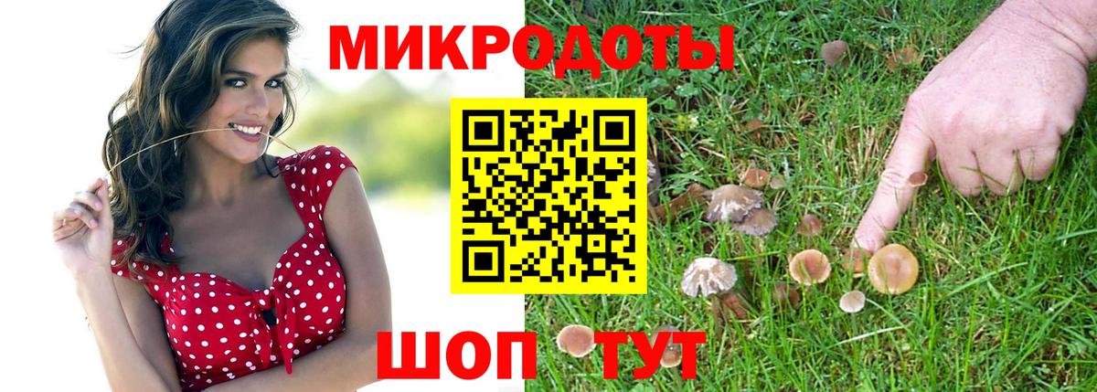 Псилоцибиновые грибы Magic Shrooms Ростов Великий